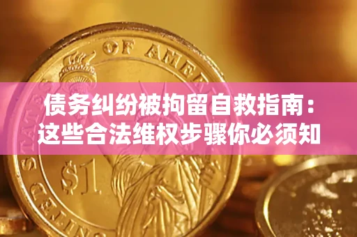 济南债务纠纷被拘留自救指南：这些合法维权步骤你必须知道！