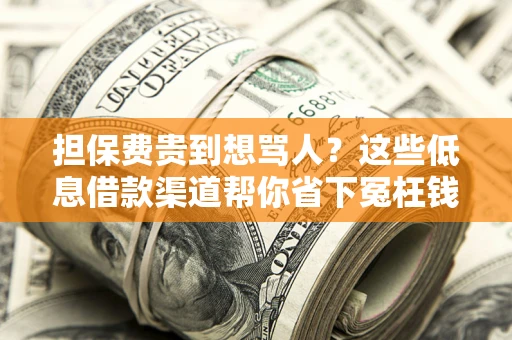 济南担保费贵到想骂人？这些低息借款渠道帮你省下冤枉钱