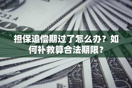 济南担保追偿期过了怎么办？如何补救算合法期限？