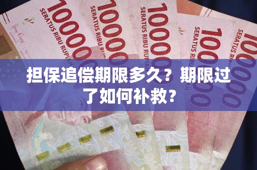 济南担保追偿期限多久？期限过了如何补救？